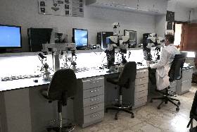 Identificativa1