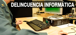 Funciones de la Guardia Civil, Delincuencia informática