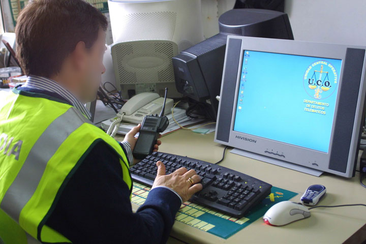 Funciones de la Guardia Civil, Delincuencia informatica